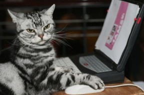 开云真人娱乐官网-日本铁血防线，固若金汤！