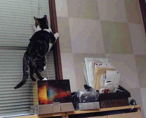 【战术艺术】马克·塞尔比:用细腻的防守策略赢得胜利,马克塞尔比厉害吗