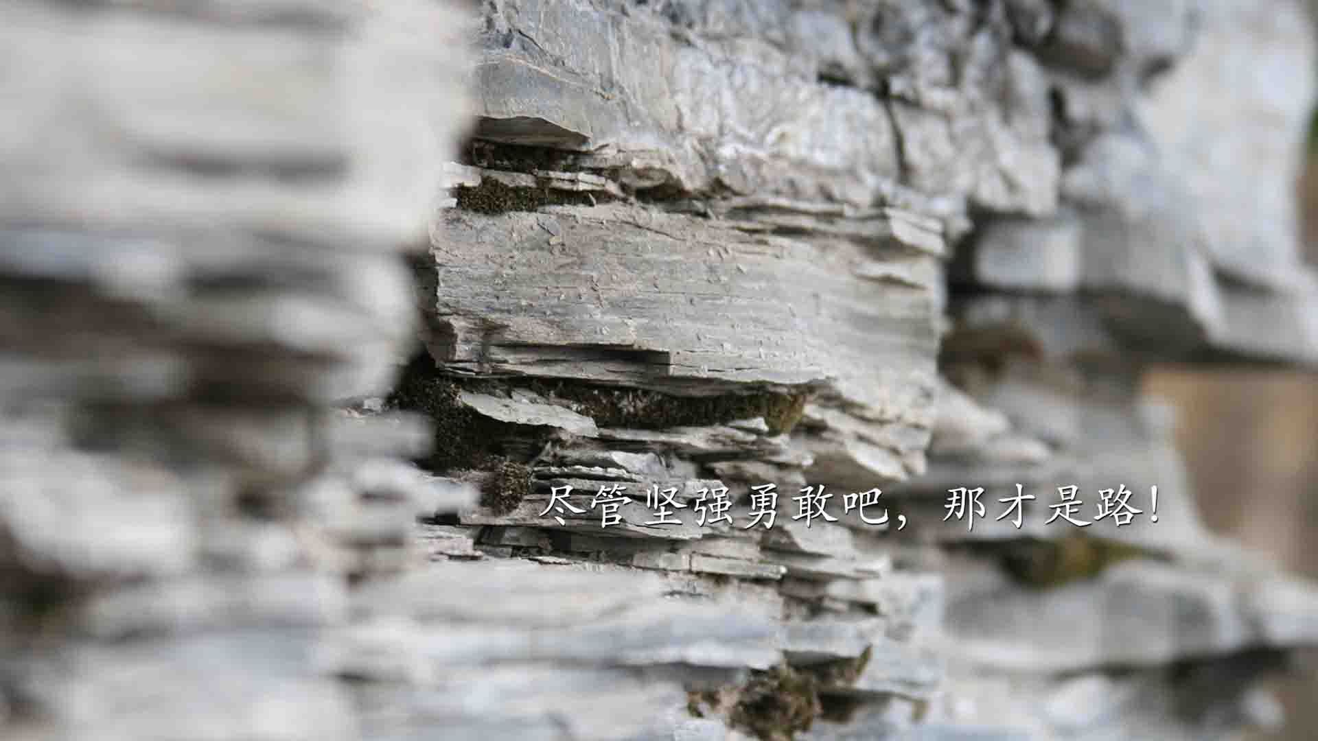 【雪国操作】瑞士换人滑雪板上场,全场尖叫,瑞士滑雪名将